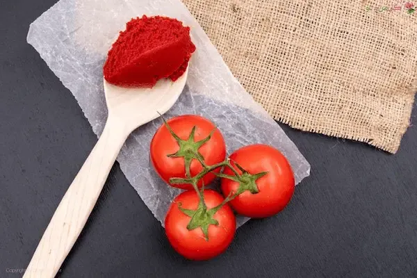 قیمت و خرید رب گوجه فرنگی 10 کیلویی + فروش ارزان