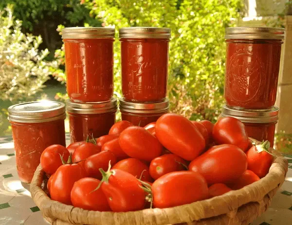 رب گوجه فرنگی 800 گرمی + بهترین قیمت خرید