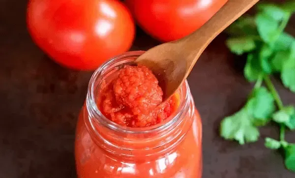 خرید انواع رب گوجه ساندیسی + قیمت
